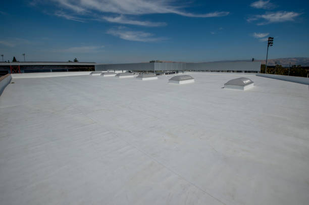 Best Roof Insulation Installation  in Triana, AL