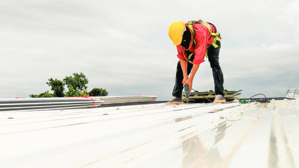 Best Roof Maintenance and Cleaning  in Triana, AL